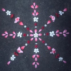 Meet your Posher, Erika